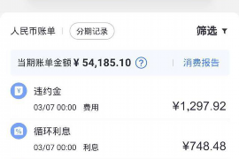 曲麻莱债务清欠服务