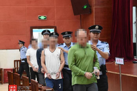 曲麻莱债务清欠服务